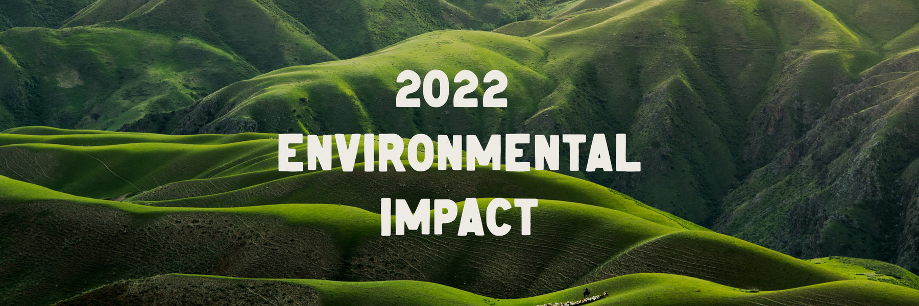 2022 Environmental Impact