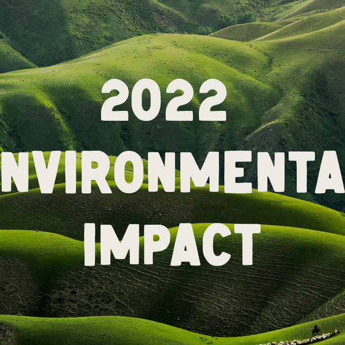 2022 Environmental Impact