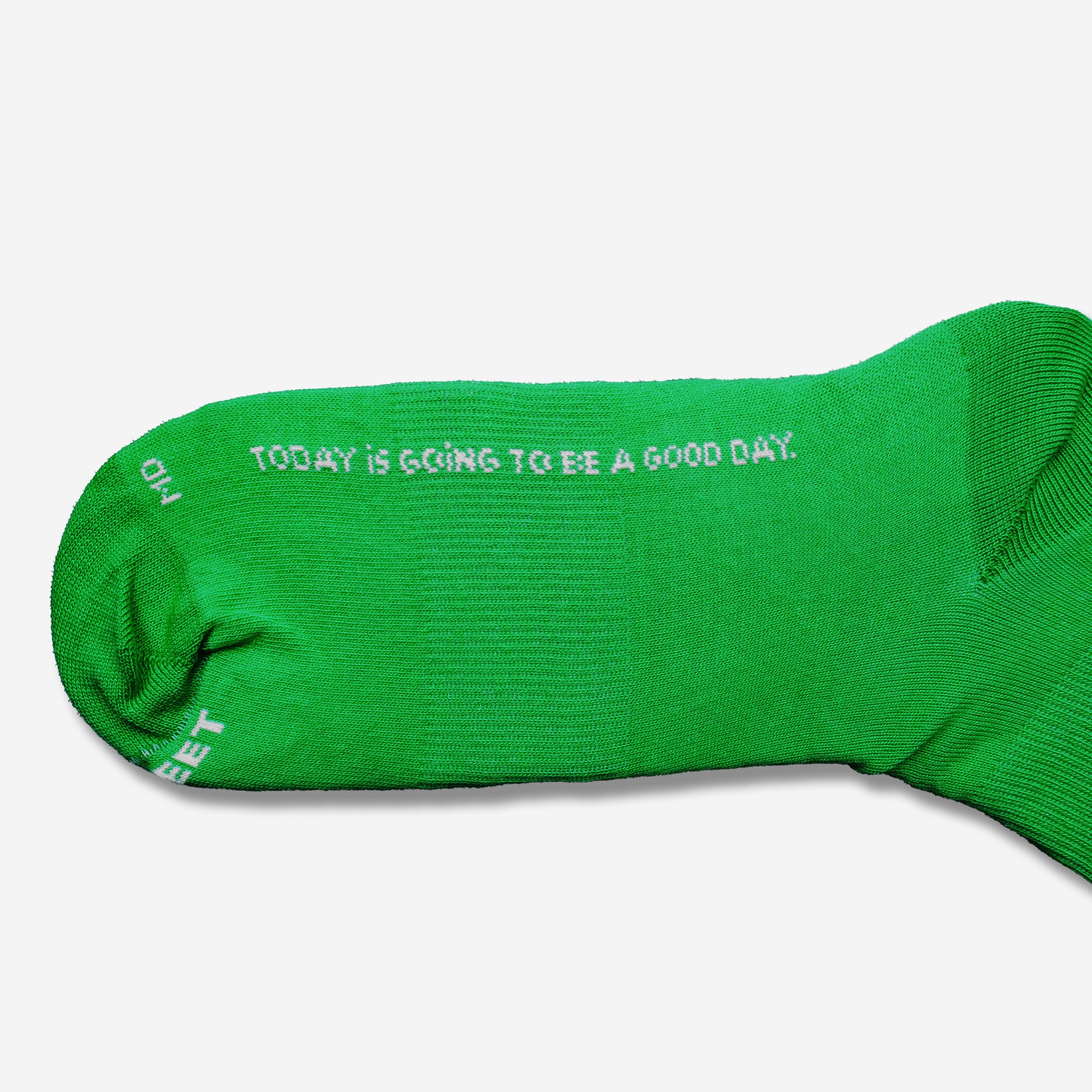 Green Dog Crews by Andrea Cáceres