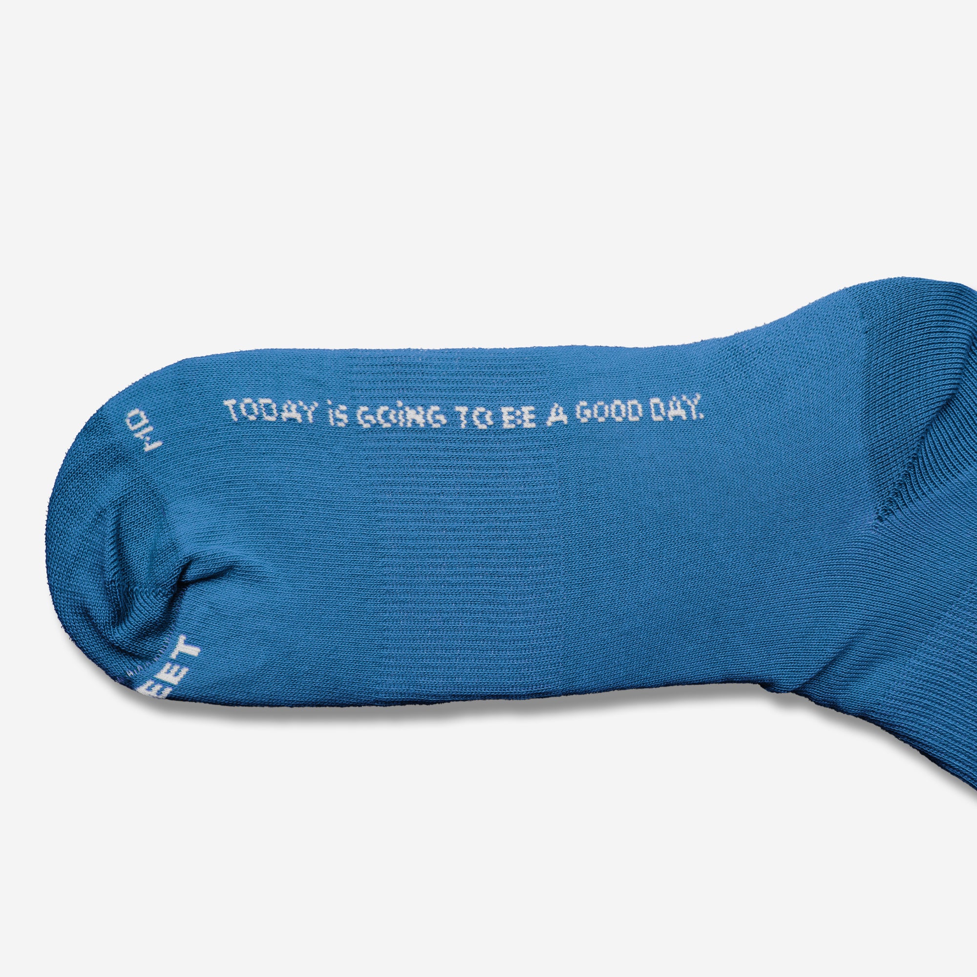 Blue Dog Crews by Andrea Cáceres