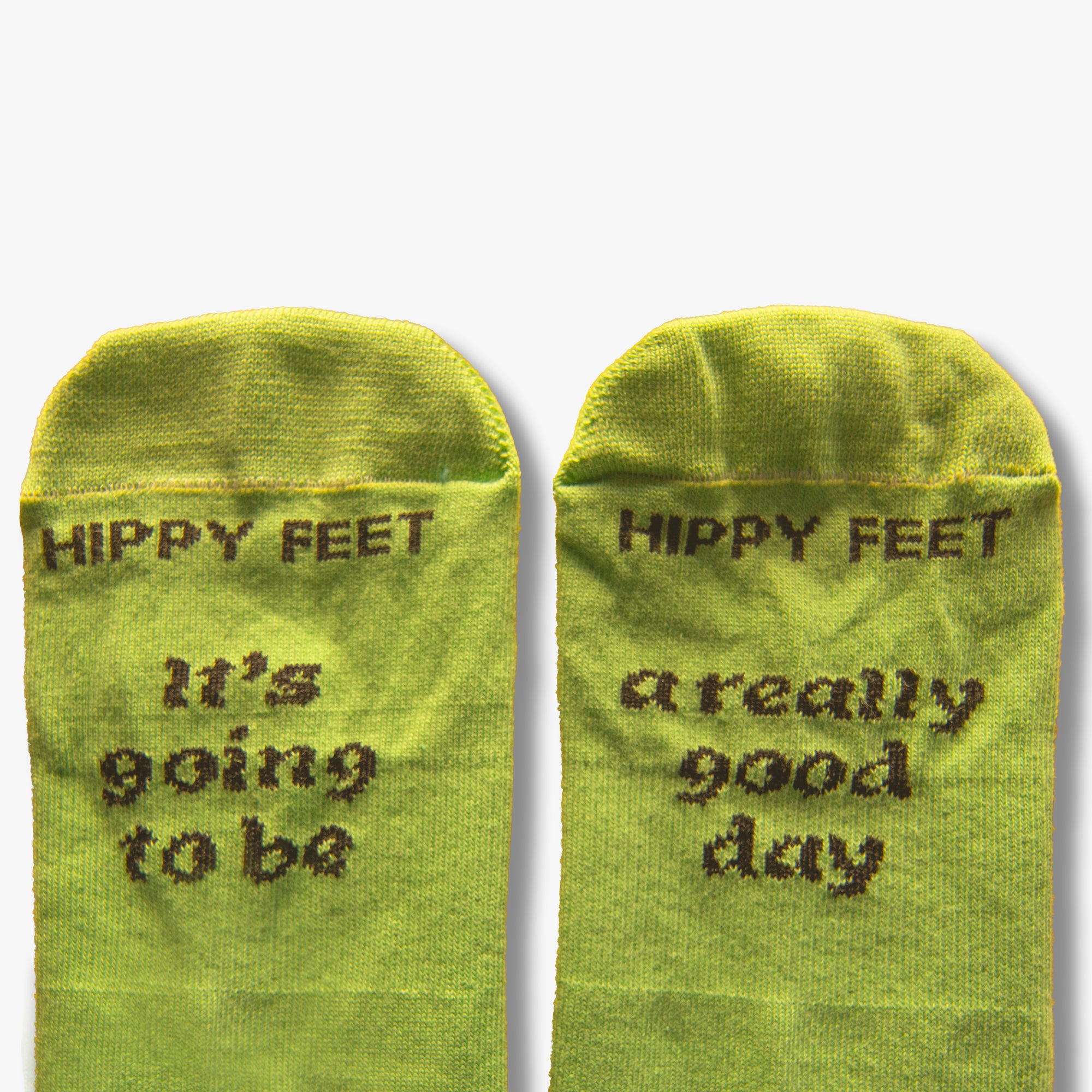 The Little Frog  "It's going to be a really good day"