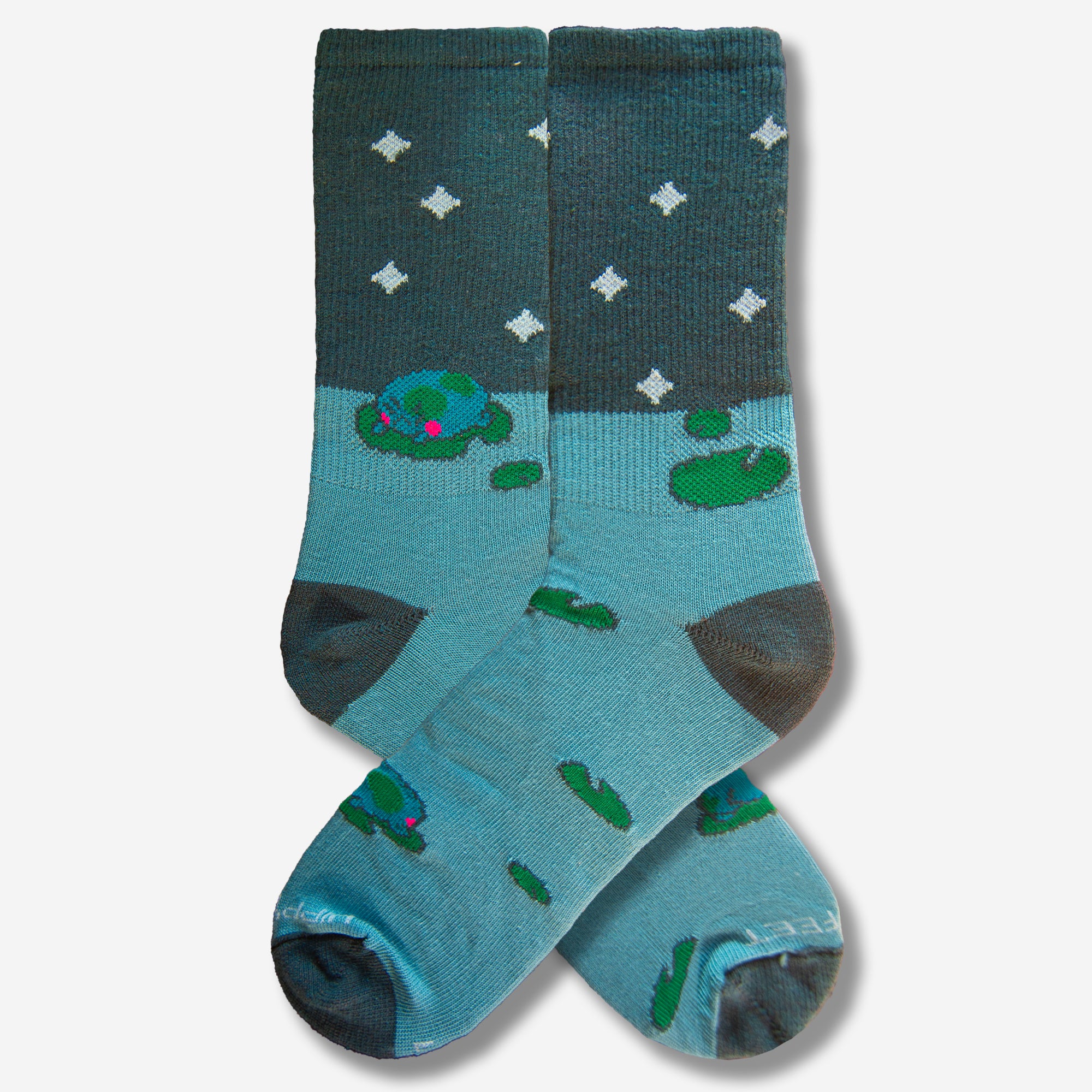 Angy Frog on the Pond